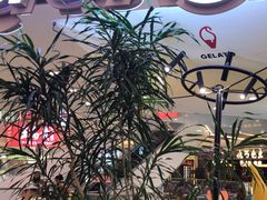 -野人先生Gelato(上海长宁龙之梦店)