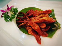 -诺莱仕游艇会