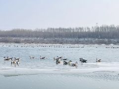 -沈阳鸟岛