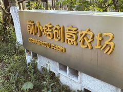 -前小桔亲子创意农场·草莓采摘·露营烧烤