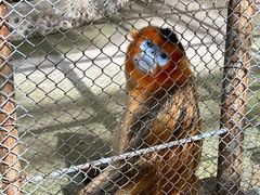 -哈尔滨北方森林动物园