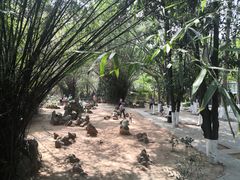-攀枝花公园
