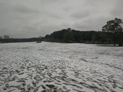 -昆山城市生态森林公园