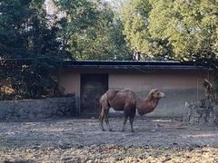-宁波野生动物园