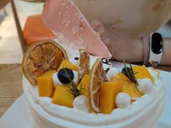 -今日·TODAY手作低脂动物奶油蛋糕定制(高新万达店)