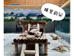 -西安秦岭野生动物园