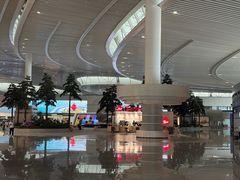 -青岛胶东国际机场