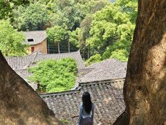 -杨家堂村