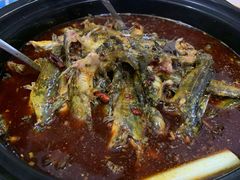 -金海椒罐罐鲢鱼(东方桂苑店)