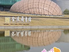 -金陵图书馆