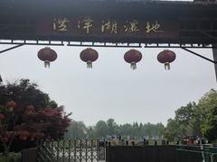 -泗洪洪泽湖湿地景区