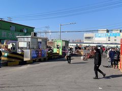 -沈阳市八家子水果批发市场