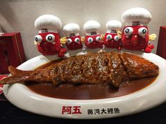 -阿五黄河大鲤鱼(纬三路店)