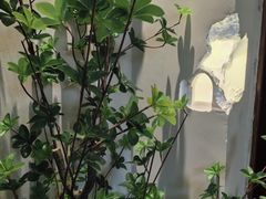 -MakaPaka小酒馆(南湖天地店)