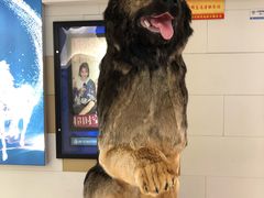 -南宁时代电影大世界(CGS激光中国巨幕)