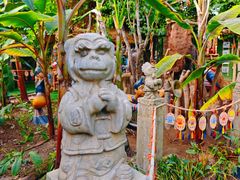 -呀路古热带植物园