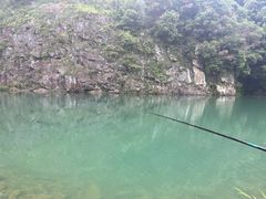 -芦茨金富饭庄·25年老字号·专做稻草鸡