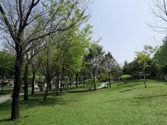 -唐城墙遗址公园