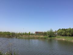 -杭州湾海上花田景区