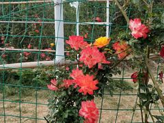-名花谷生态庄园