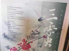 -茶颜悦色(环球奥特莱斯店)