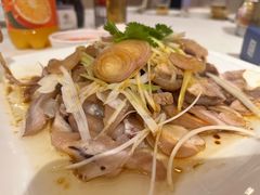 -锦粤宫·精致粤菜(深圳北站店)