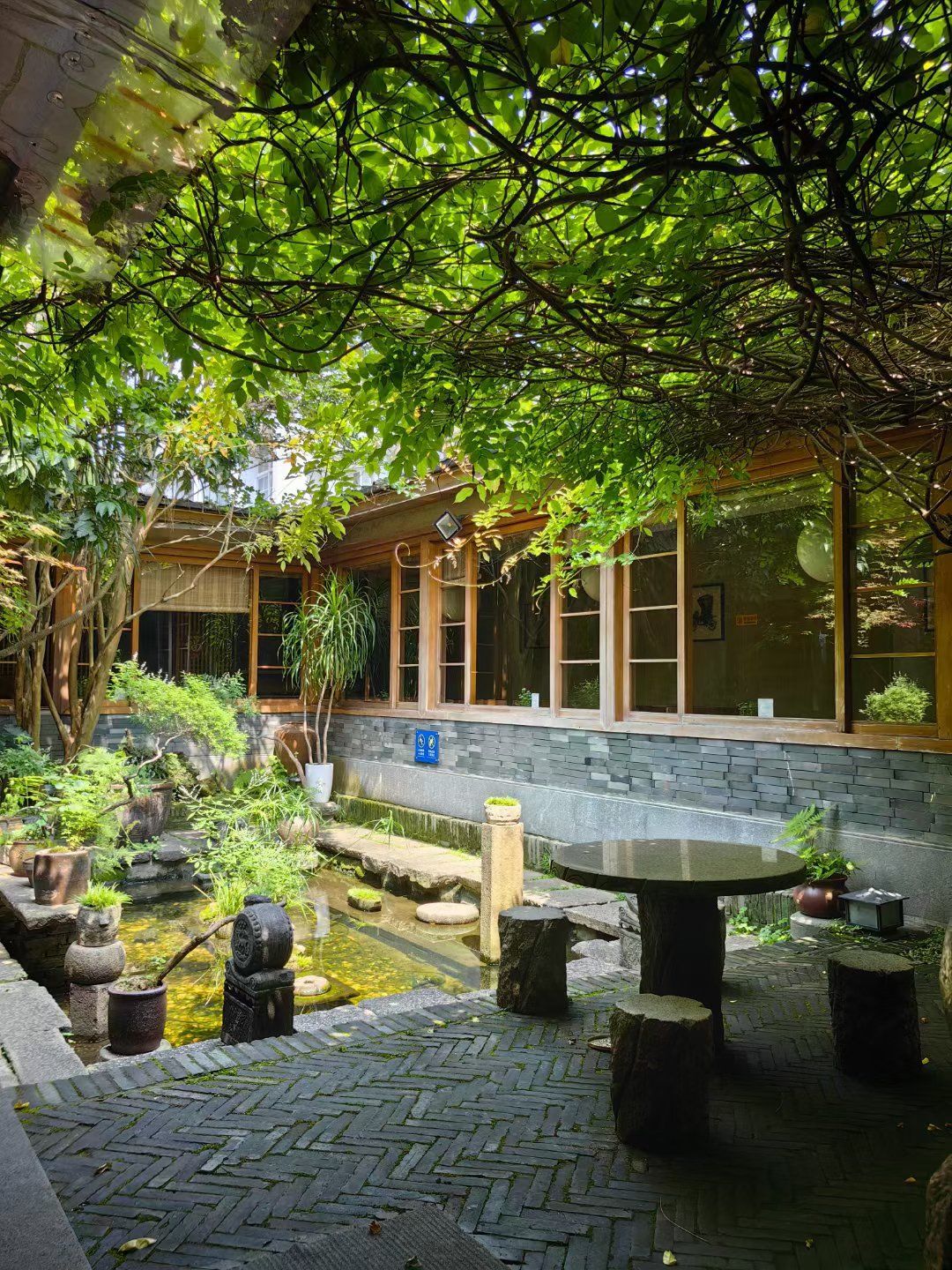 夏日的小院透着阳光的味道