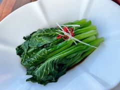 广东菜心-茶人村·前滩江景雅宴(上海首店)