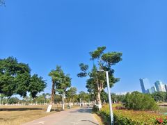 -万绿园