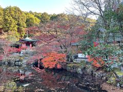 -醍醐寺