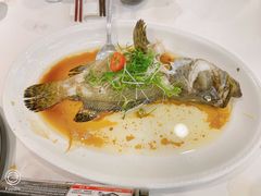 老虎斑-新兴家喻酒家·羊城名宴(昌岗店)