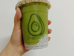 -油梨树 AVOCADO TREE(亮马桥店)