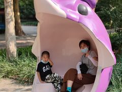 -朝阳公园游乐园