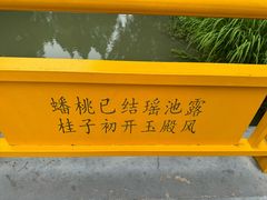-青枫公园