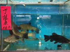 -海大大蒸汽海鲜餐厅·粤菜·特色小炒(欢乐颂店)