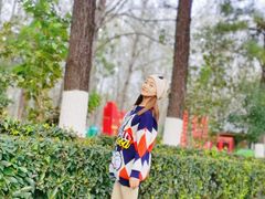 -合肥滨湖国家森林公园