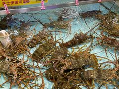 -渔民新村(番禺总店)