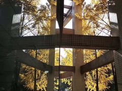 -重庆工商大学(南岸校区)