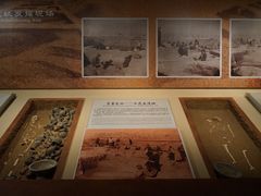-临沂市博物馆
