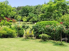 -铁山坪森林公园