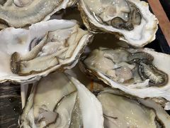 -东山羊庄(八卦岭店)