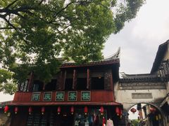 -同里国家湿地公园