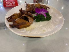 红烧乳鸽-绿雅居原生态农庄(小涌店)