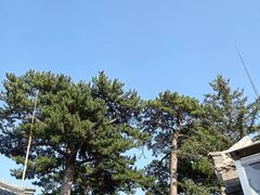 -妙峰山风景名胜区