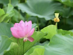 -长广溪湿地公园