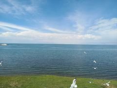 -青海湖国家重点风景名胜区