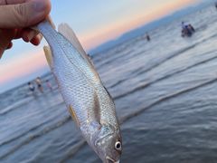 -南澳海滩