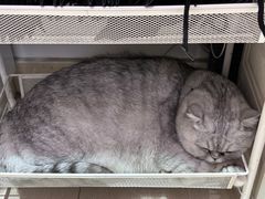 -Oasis绿洲银饰珍珠手作diy(壹方城店)