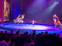 -珠海横琴长隆《卡卡虎奇遇记》