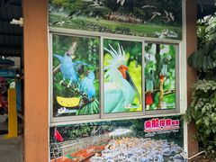 -广州长隆飞鸟乐园